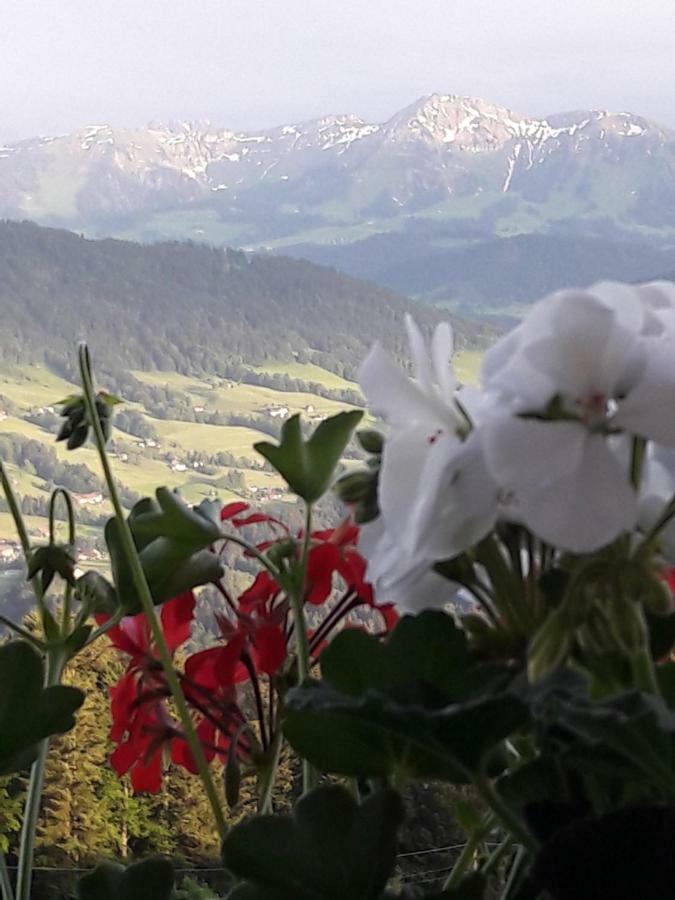 Haus Homann Daire Sulzberg  Dış mekan fotoğraf